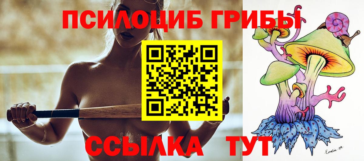 закладка  Вход с VPN  Галлюциногенные грибы Psilocybe  Моздок  Псилоцибиновые грибы Psilocybe 